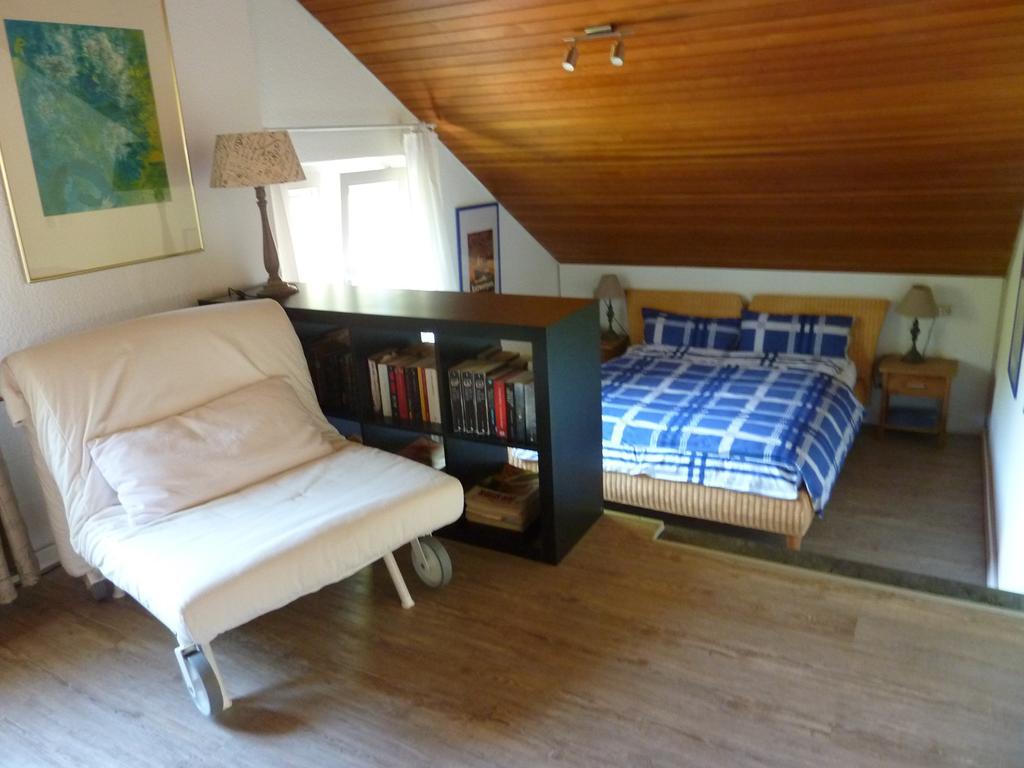 Apartment Schwarzwald Total Фройденштадт Екстер'єр фото